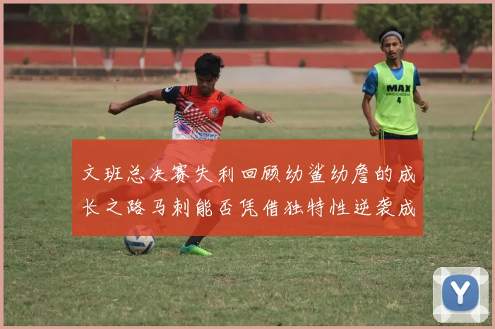 文班总决赛失利回顾幼鲨幼詹的成长之路马刺能否凭借独特性逆袭成功