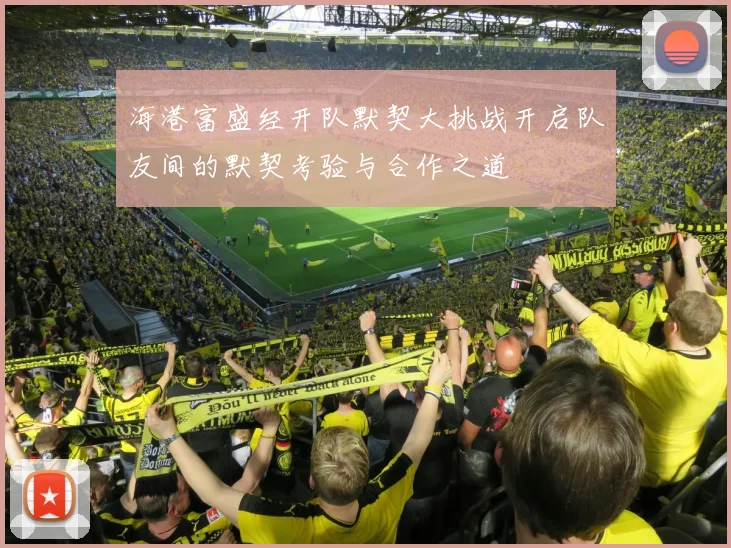 海港富盛经开队默契大挑战开启队友间的默契考验与合作之道