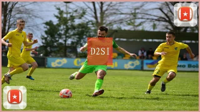 D2SI