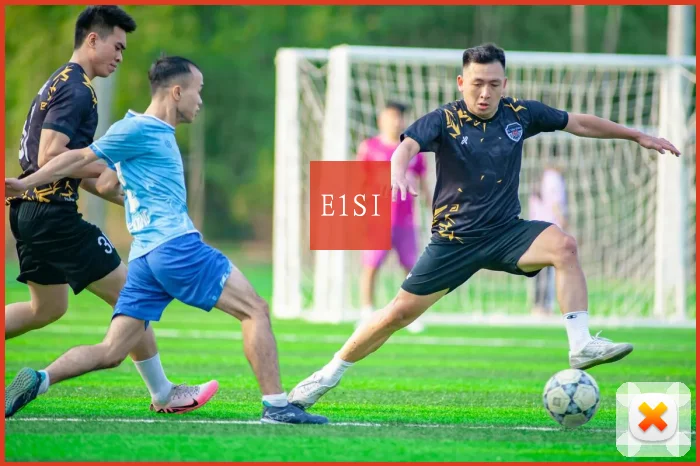 E1SI