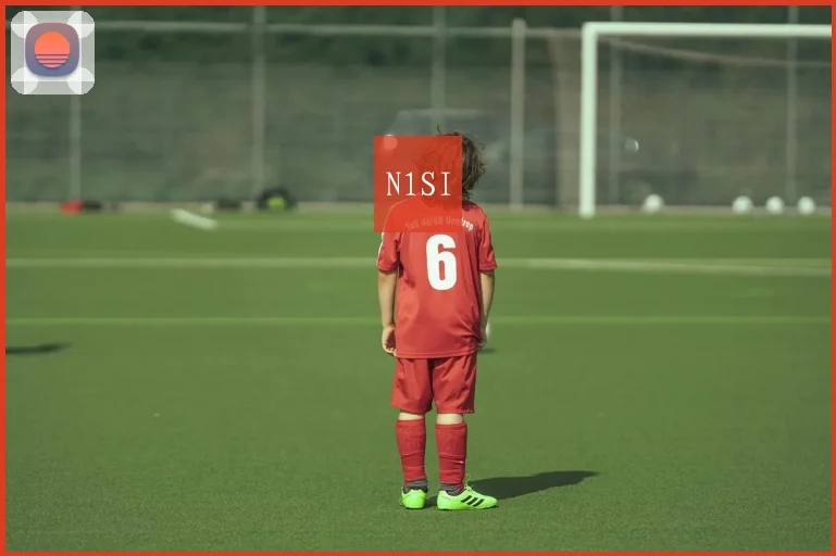N1SI